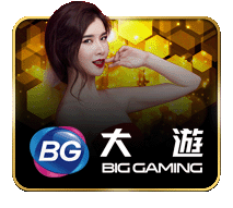 ATAS88 游戏合作商 BG